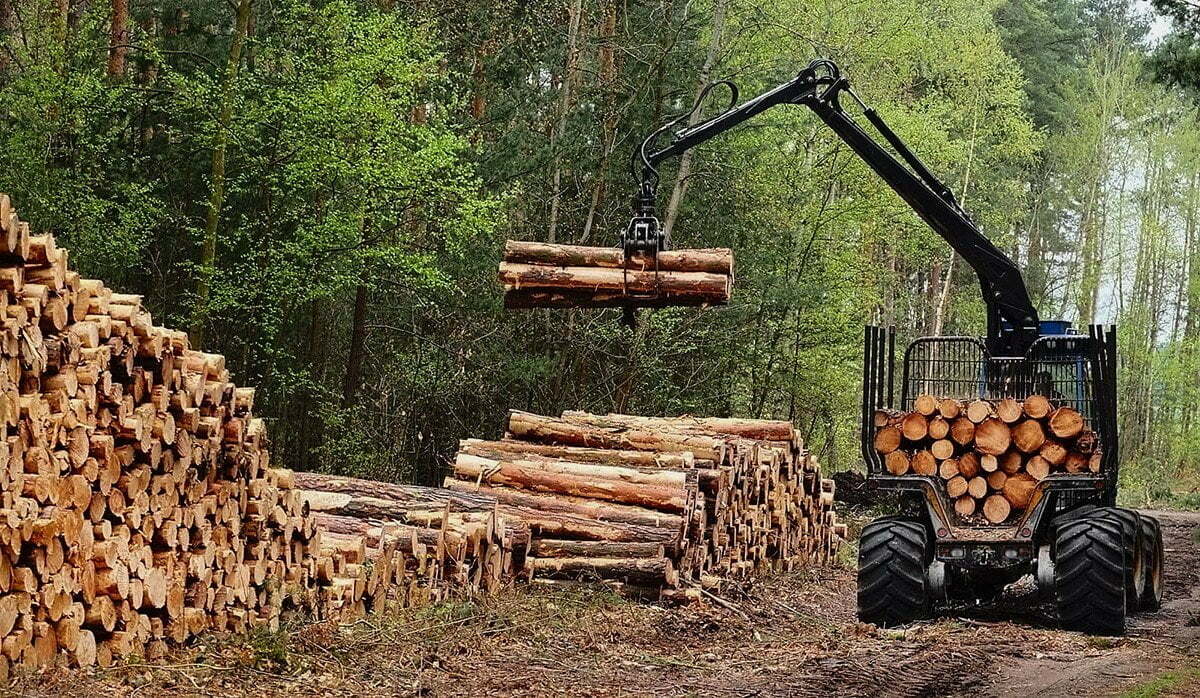 Потребности лесозаготавливающего предприятия в системе хранения и обработки данных